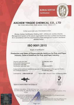 ISO Certificate of Registration Example 3